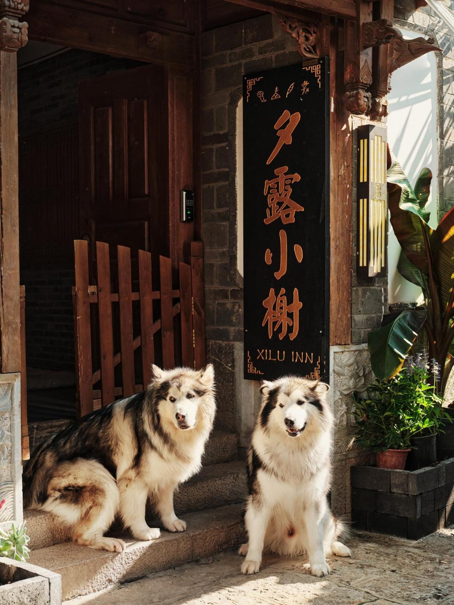 Xilu Xiaoxie Inn Old Town Lijiang Λιγιάνγκ Εξωτερικό φωτογραφία
