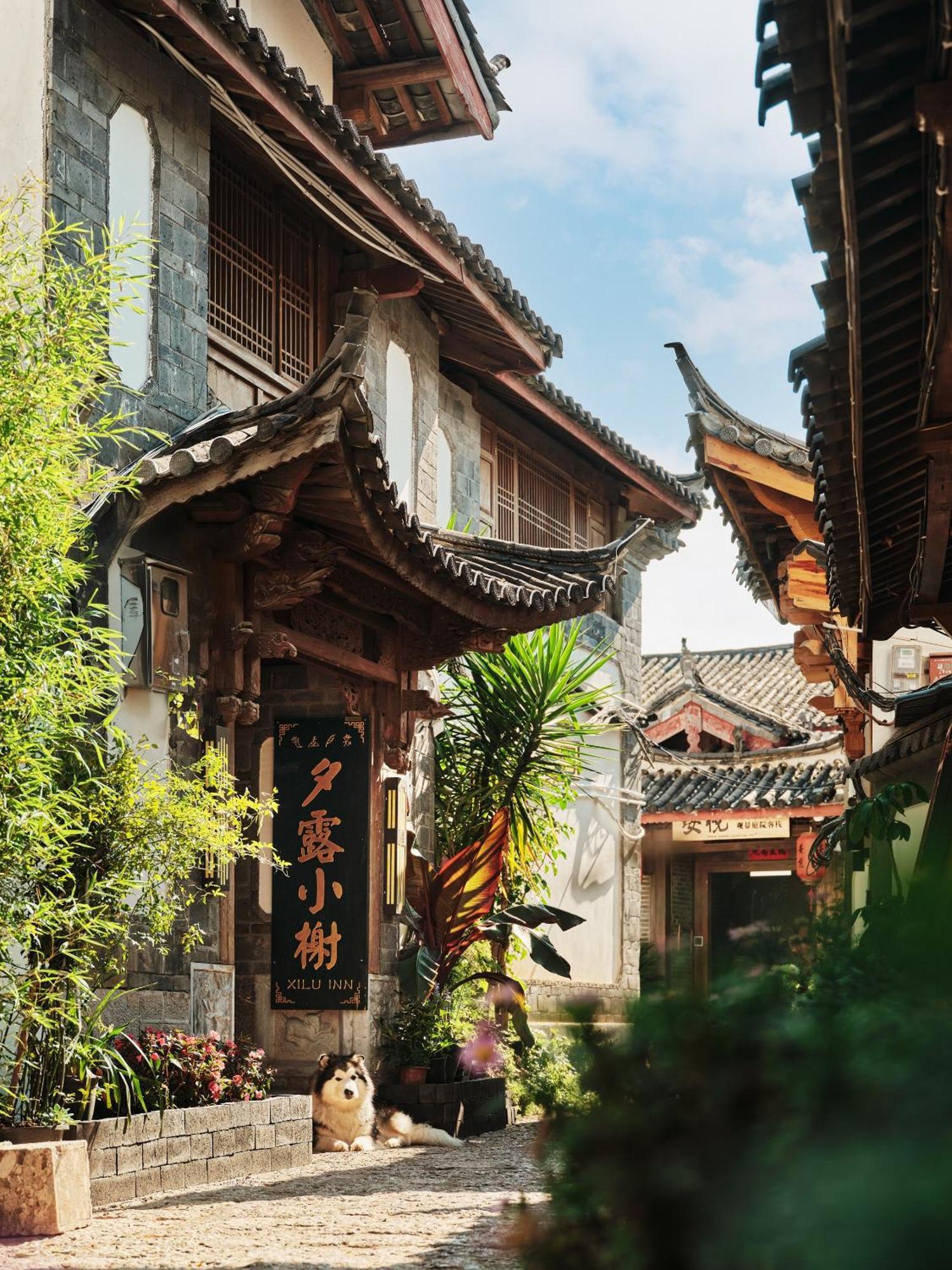 Xilu Xiaoxie Inn Old Town Lijiang Λιγιάνγκ Εξωτερικό φωτογραφία