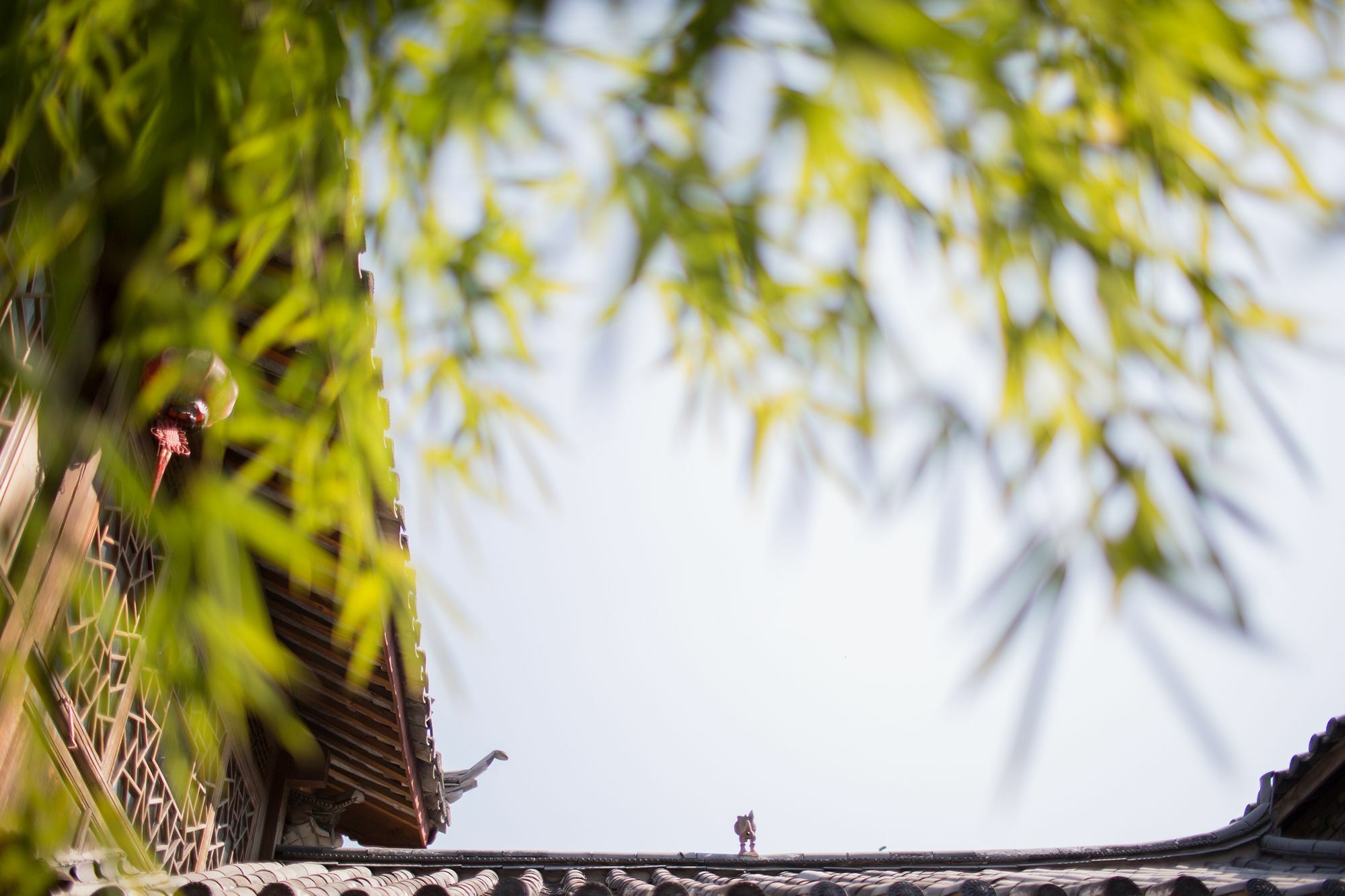 Xilu Xiaoxie Inn Old Town Lijiang Λιγιάνγκ Εξωτερικό φωτογραφία