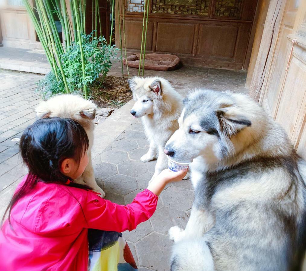 Xilu Xiaoxie Inn Old Town Lijiang Λιγιάνγκ Εξωτερικό φωτογραφία